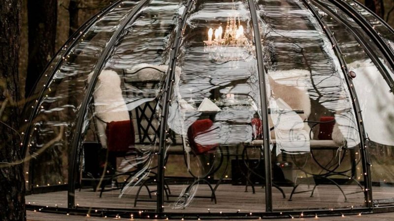 В “Кронон Парк Отеле” открыли прозрачный купол-иглу для отдыха. Сколько стоит аренда и есть ли свободные места
