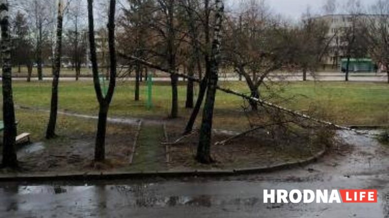 На Горновых с Mcdonald's сорвало крышу, а на Горького фонарь упал на автомобиль. Что еще пострадало в Гродно от мощного ветра