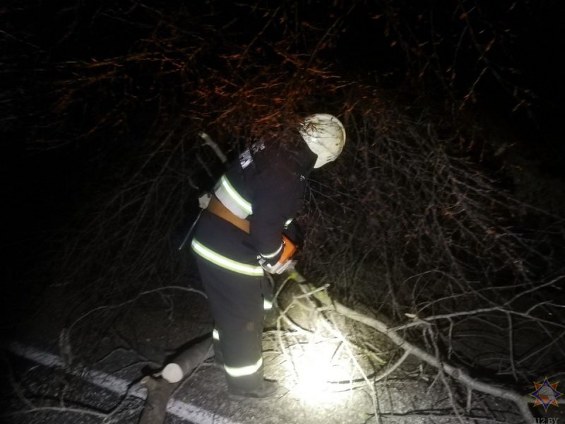 Пострадали автомобили, крыши зданий и даже железная дорога. Сколько объектов в Гродненской области повредил сильный ветер