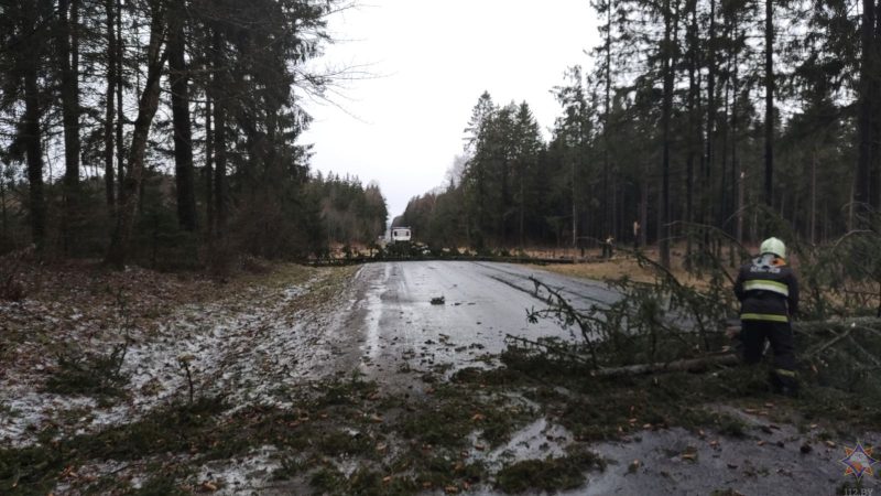На Горновых с Mcdonald's сорвало крышу, а на Горького фонарь упал на автомобиль. Что еще пострадало в Гродно от мощного ветра