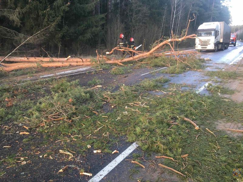 Пострадали автомобили, крыши зданий и даже железная дорога. Сколько объектов в Гродненской области повредил сильный ветер