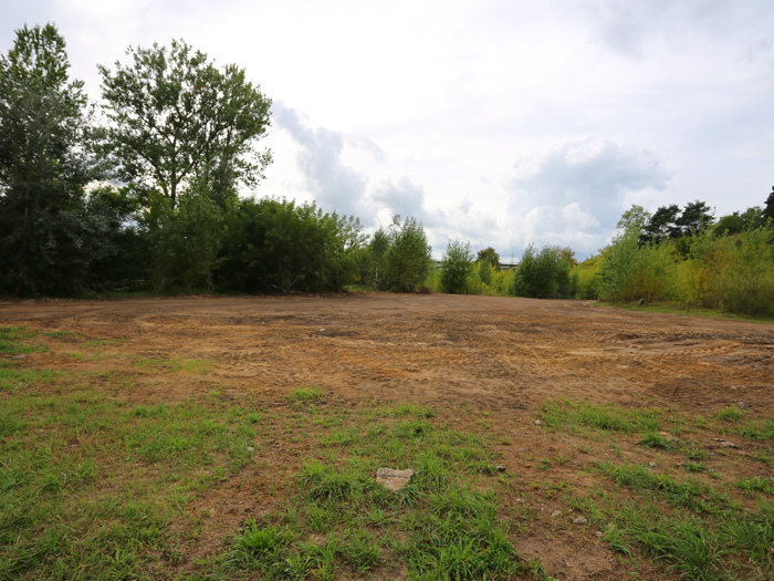 Инвестору предлагают построить недалеко от Коложи медцентр или ресторан. Но до участка нет асфальтных дорог