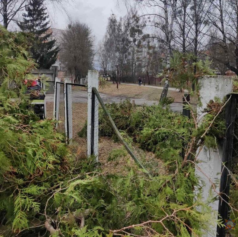 Пострадали 19 населенных пунктов: смотрите фото, что сильный ветер повредил в Гродненской области за выходные
