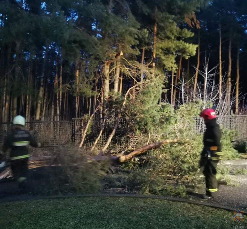 Пострадали 19 населенных пунктов: смотрите фото, что сильный ветер повредил в Гродненской области за выходные