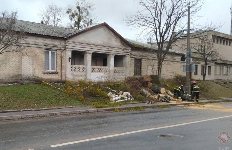 Пострадали 19 населенных пунктов: смотрите фото, что сильный ветер повредил в Гродненской области за выходные