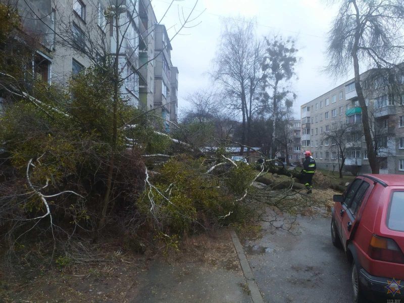 Пострадали 19 населенных пунктов: смотрите фото, что сильный ветер повредил в Гродненской области за выходные