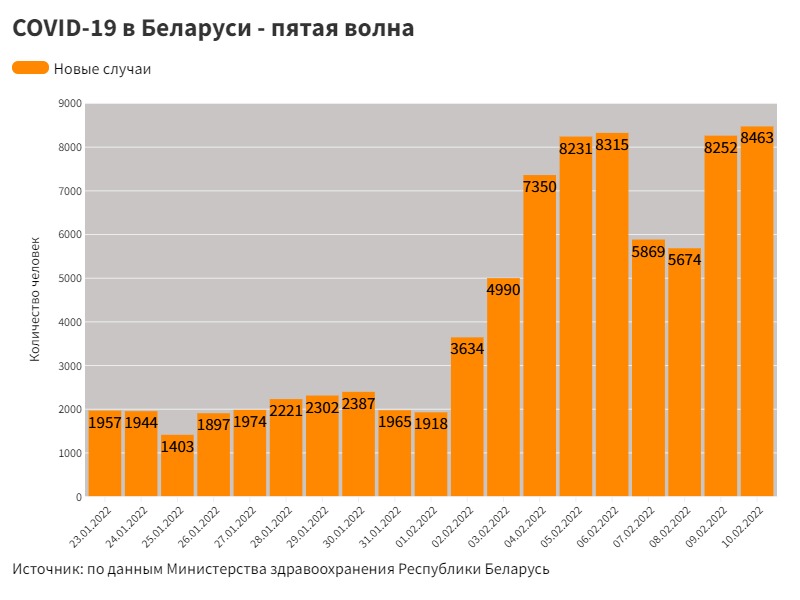 "Отправили спасать мир". Гродненские студентки рассказали, как работают в поликлиниках и почему не отправляют на тесты
