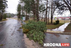 Глядзі карту праверак МНС: у Гродне парушэнняў шмат, але крытычных няма