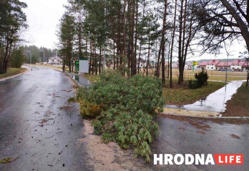 Заставацца дома пакуль надвор’е не супакоіцца. Як арганізаваць бяспеку сабе і блізкім падчас непагадзі