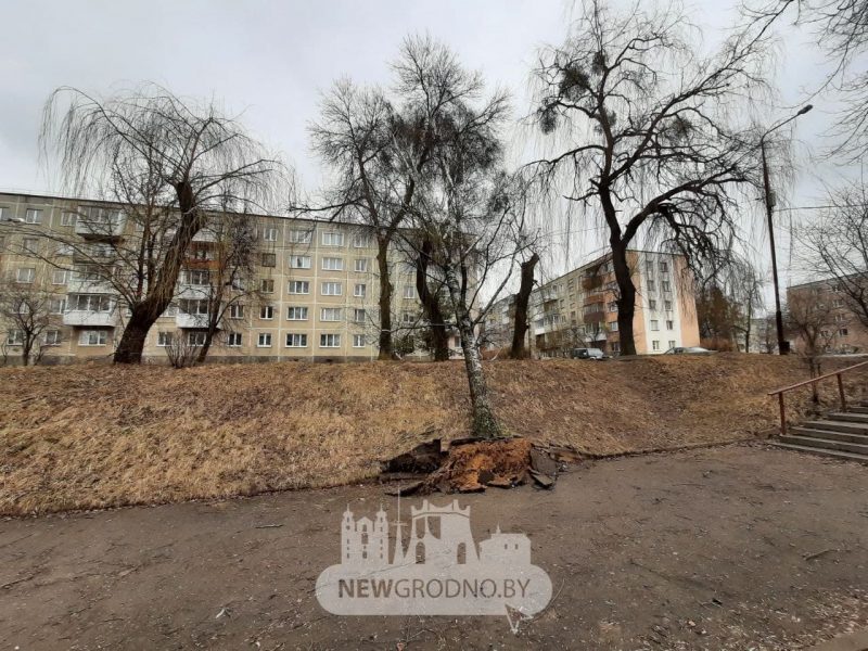 Без электричества осталось восемь населенных пунктов. Что сильный ветер еще повредил на Гродненщине