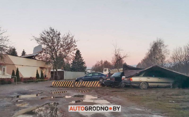 Без электричества осталось восемь населенных пунктов. Что сильный ветер еще повредил на Гродненщине