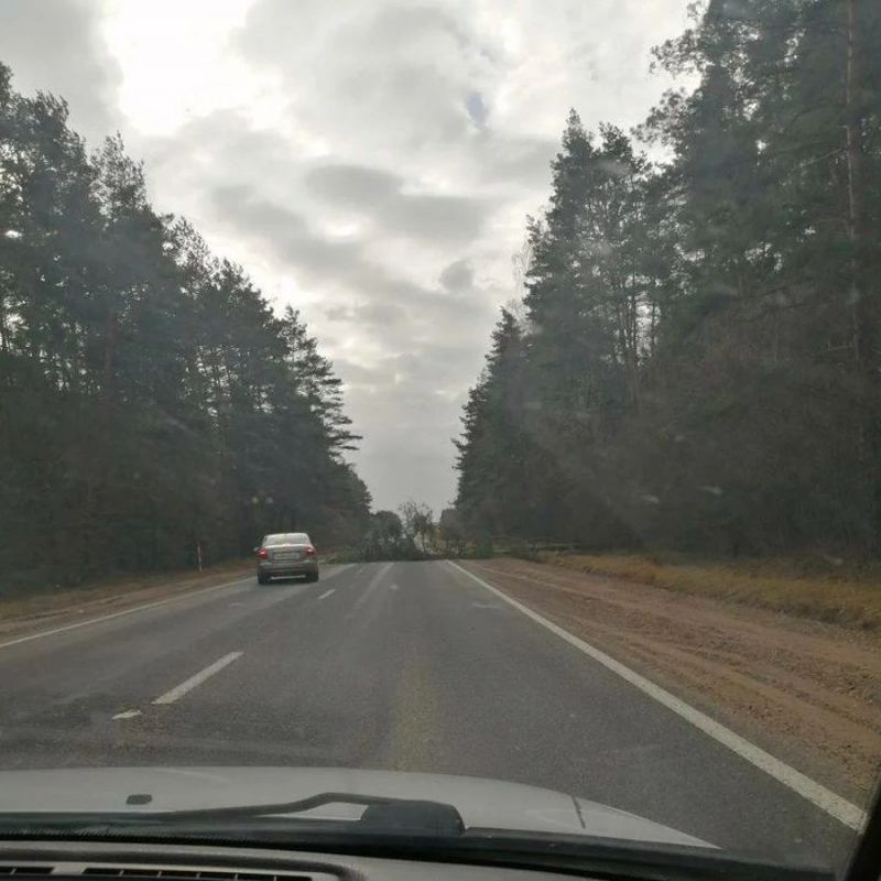 Без электричества осталось восемь населенных пунктов. Что сильный ветер еще повредил на Гродненщине