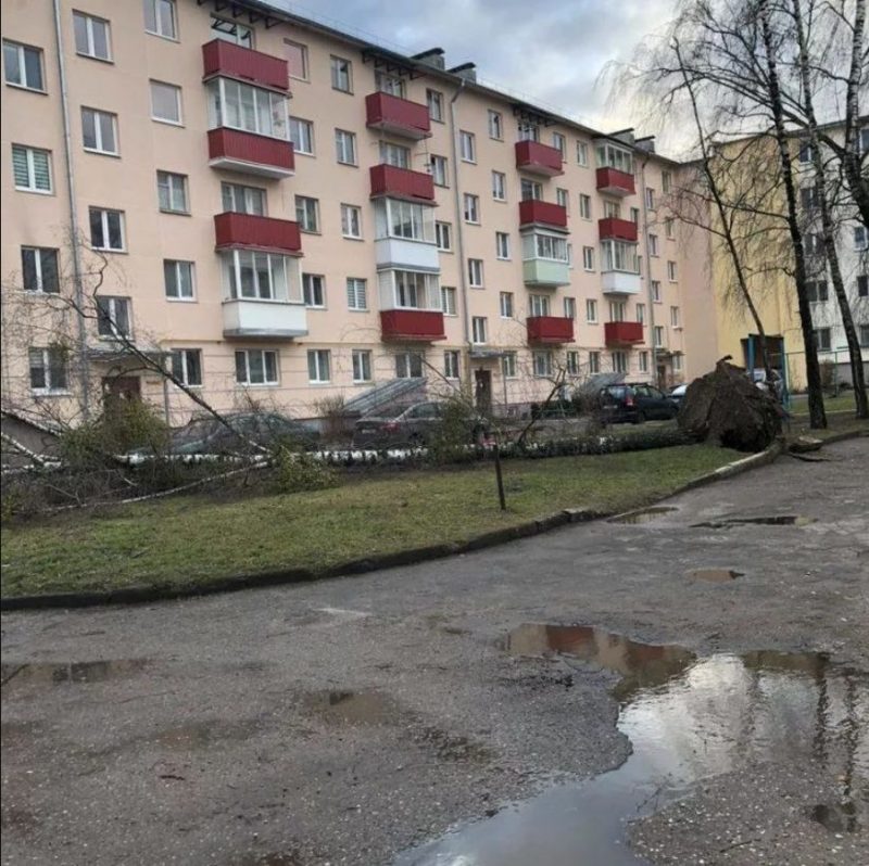 Без электричества осталось восемь населенных пунктов. Что сильный ветер еще повредил на Гродненщине