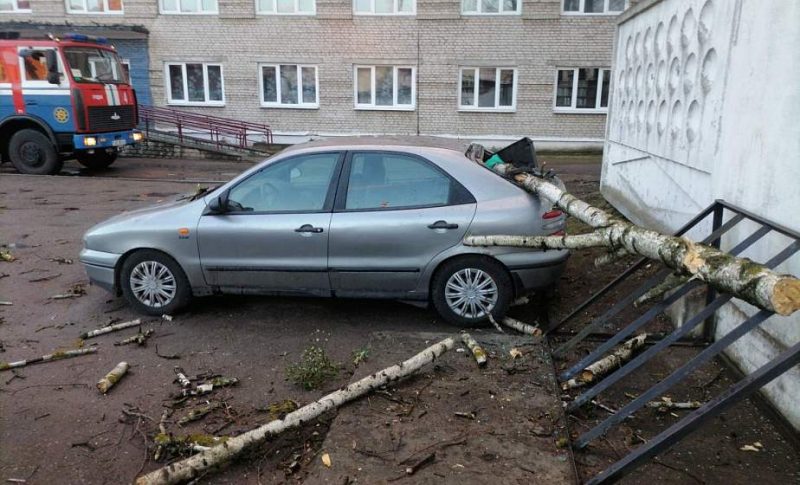 Без электричества осталось восемь населенных пунктов. Что сильный ветер еще повредил на Гродненщине