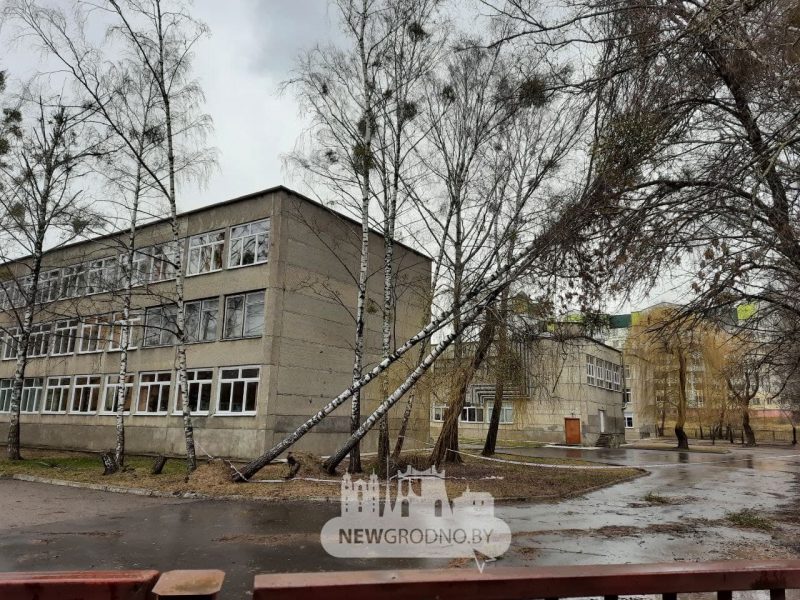 Без электричества осталось восемь населенных пунктов. Что сильный ветер еще повредил на Гродненщине