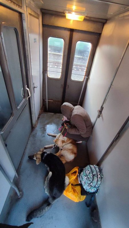 "Нашы мужыкі тут паміраюць, а вы сваіх вывозіце”. Як беларусы ўцякалі ад вайны ва Украіне