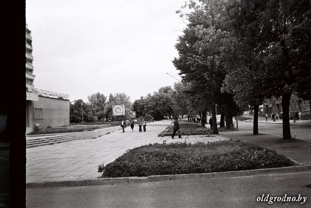 На Ажэшкі спілавалі старыя каштаны. Ці высадзяць замену?