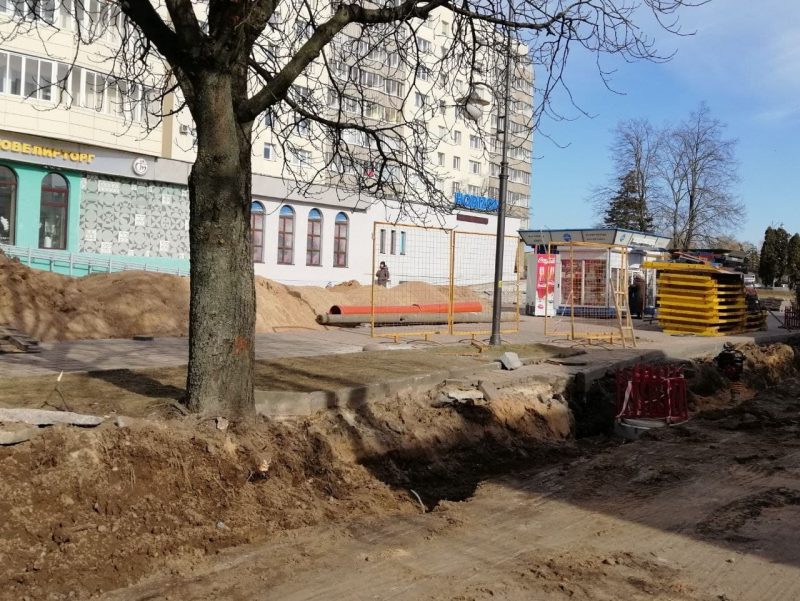 На Ажэшкі спілавалі старыя каштаны. Ці высадзяць замену?