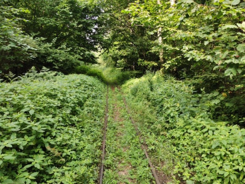 Котра, пясчаныя дзюны і Святое балота. Пад Гроднам плануюць запусціць турыстычную вузкакалейку