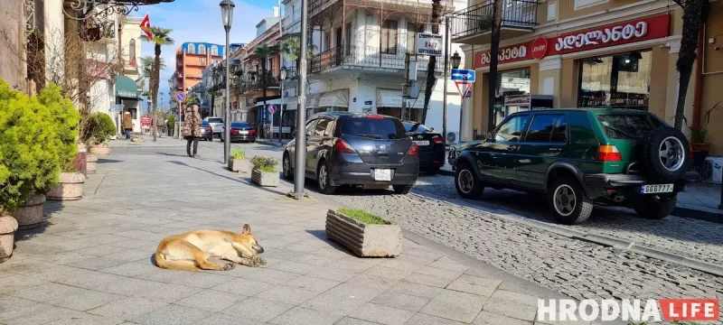 Путешествия на весну: 5 мест, которые стоит посетить прямо сейчас - с визой или без