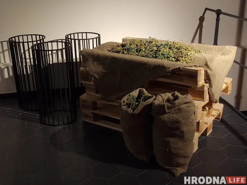 Ад шумераў і драўляных бочак да Носеля Пупко і Olvi: рэпартаж з “Музея Лідскага бровара”