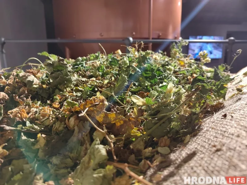 Ад шумераў і драўляных бочак да Носеля Пупко і Olvi: рэпартаж з “Музея Лідскага бровара”