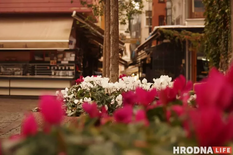 Путешествия на весну: 5 мест, которые стоит посетить прямо сейчас - с визой или без