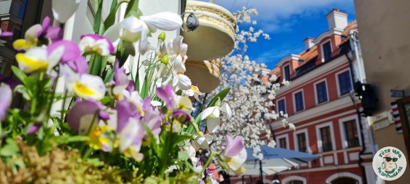 Шаги, рисунки, еда. Что спасает, когда совсем трудно - проверено на себе