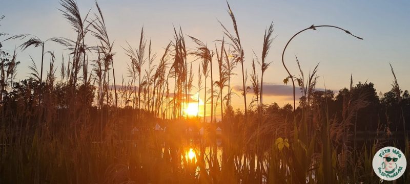 Лета, якое мы (не)змарнавалі: напаміналка, як упрыгожыць жыццё і напоўніць лета шчасцем Лето отдых на озере