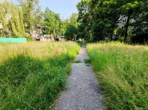 “Поўны ігнор двара”. Жыхары дома па вуліцы Брыкеля скардзяцца на разбітую дарогу ў расколінах, дзірках і ямах