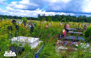 На могілках “Аўльс” трава зноў вырасла вышэй за магілы. Хто павінен сачыць за тэрыторыяй? На могілках “Аўльс” трава зноў вырасла вышэй за магілы. Хто павінен сачыць за тэрыторыяй?