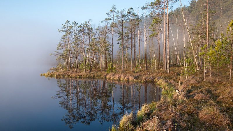 Второй визит-центр в Озерах почти готов. Зачем он нужен?