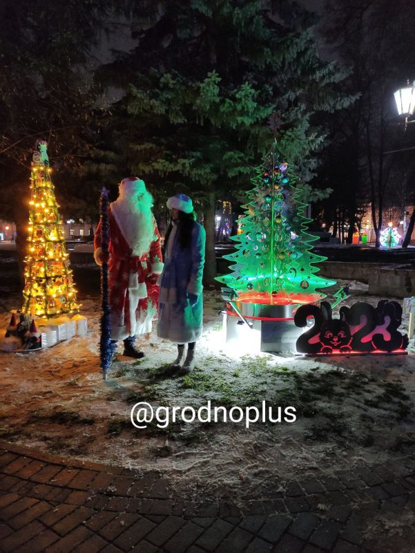 В парке Жилибера зажгли аллею елок от предприятий. Как они выглядят в этом году?