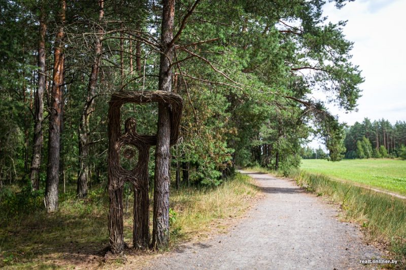 Ссеклі не тыя дрэвы. Лясгасу Гродзенскай вобласці прыйдзецца заплаціць штраф амаль $ 132 тысячы налибокская пуща лес лето сосны