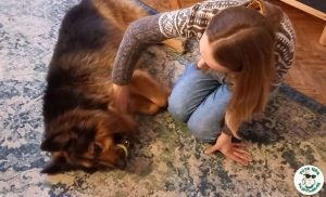 Уратаваць шэрагоўца Эрыка. Як Пёс Насты Лойкі праехаў 1000 кіламетраў і навучыўся гаўкаць па-чэшску сабака Эрык