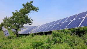 Пад Ваўкавыскам правераць ваду на магчымыя забруджвання ад мясакамбіната Сонечныя панэлі.