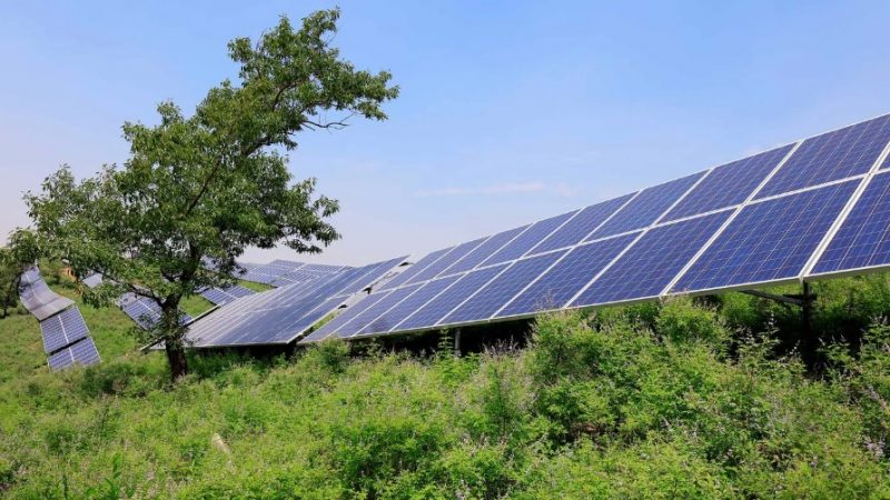 Сонечныя панэлі.