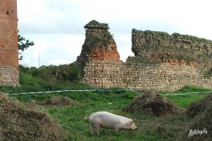 “Вернем у Гродна каралеву!” Гродзенцы стварылі петыцыю аб ушанаванні Боны Сфорца Крэўскі замак