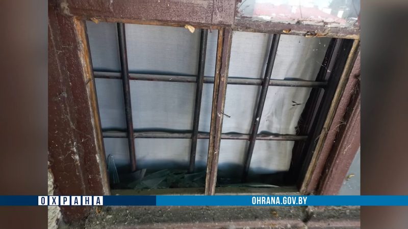 Мужчына разбіў вокны ў Старым замку: хацеў паглядзець, як жылі каралі