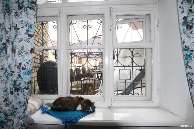 Гродзенскае котакафэ пераязджае. А вы наогул ведалі пра яго існаванне?