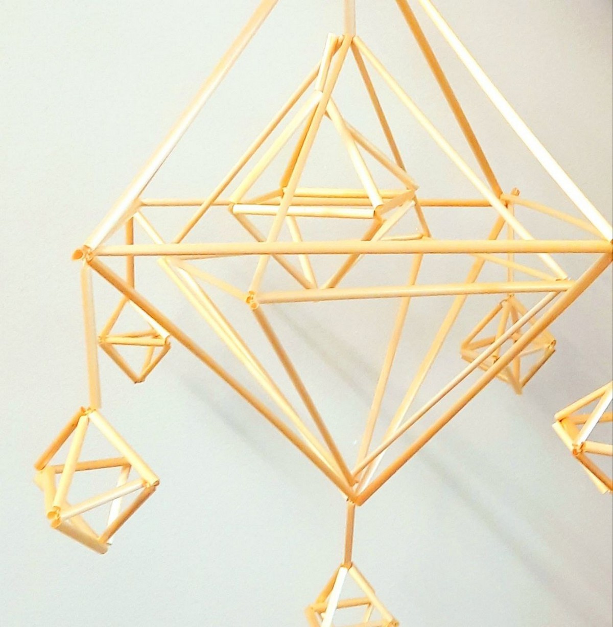 Белорусский соломенный паук