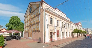 Ведаеце, што значаць птушкі на пано на Савецкай? Аўтар расказаў пра сімвалы Панно Аляксандра Сільвановіча на вуліцы Савецкай 6 у Гродне