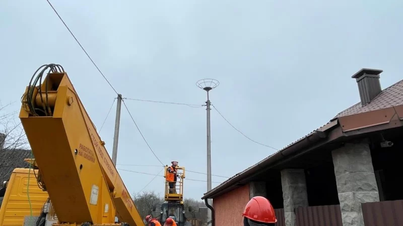 Под Гродно аистов отселяют с линий электропередач: будет польза и людям, и птицам