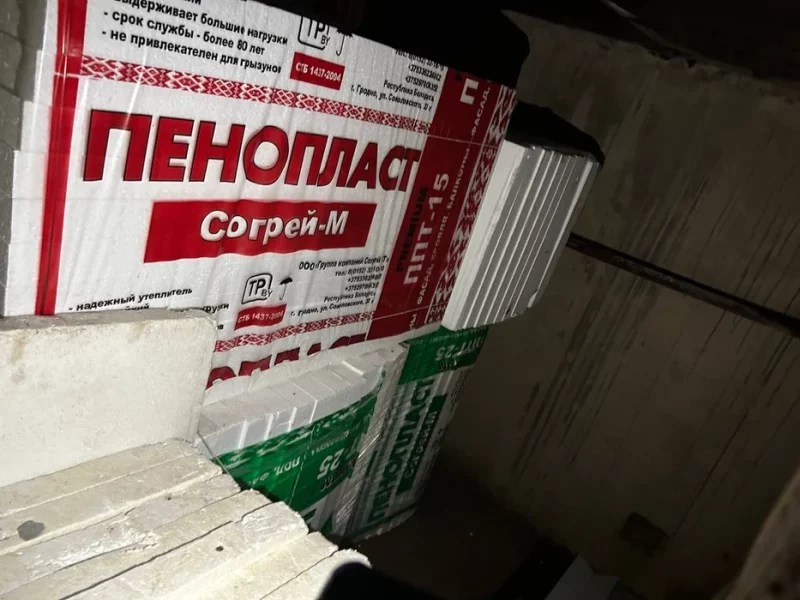 Выкапаў больш за 100 туй. У Гродне затрымалі мужчыну, які 8 гадоў выкрадаў дрэўцы