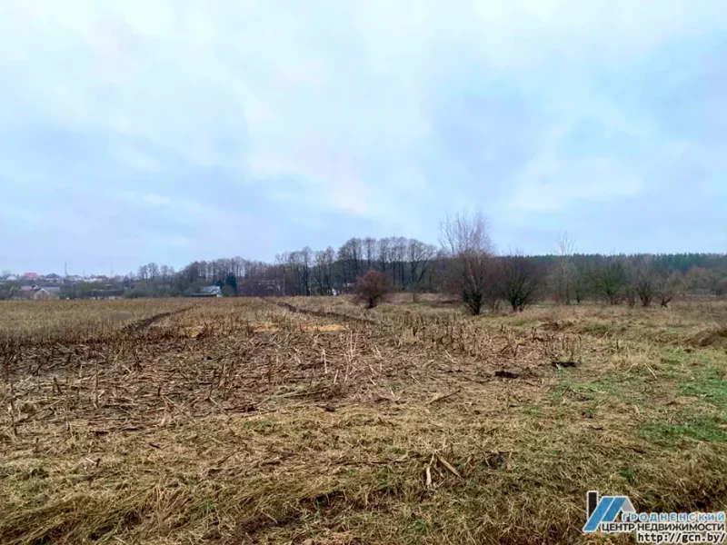 У Зарыцы хочуць пабудаваць новы квартал таўнхаўсаў