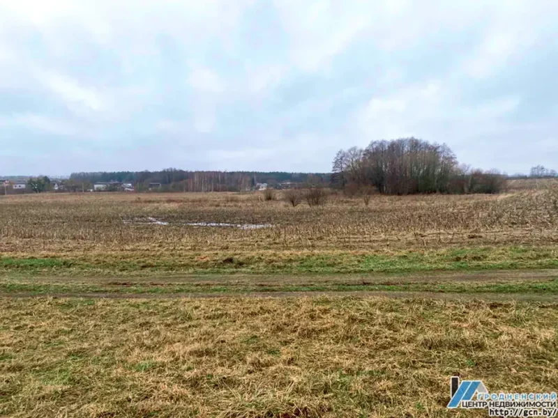 У Зарыцы хочуць пабудаваць новы квартал таўнхаўсаў