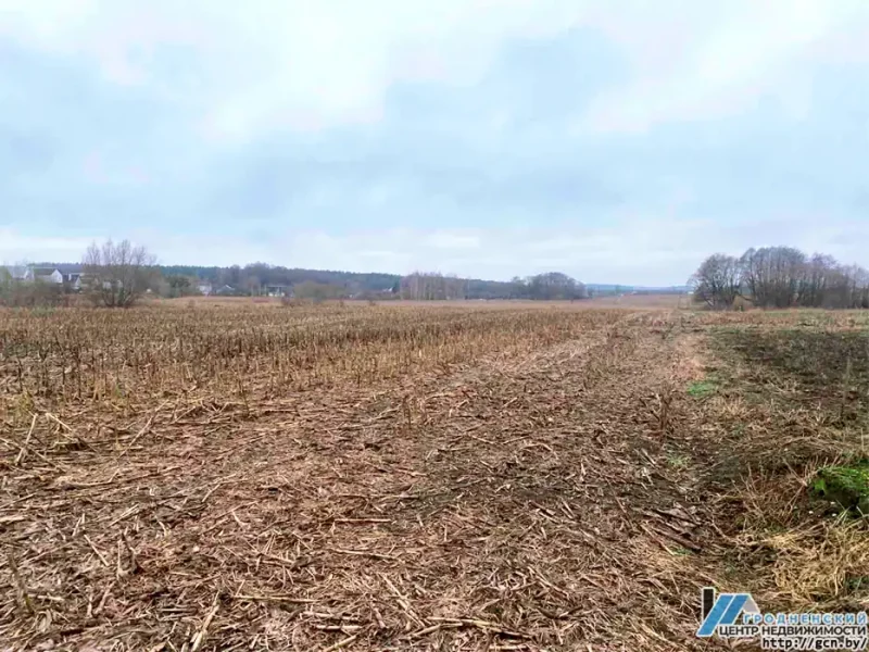 У Зарыцы хочуць пабудаваць новы квартал таўнхаўсаў