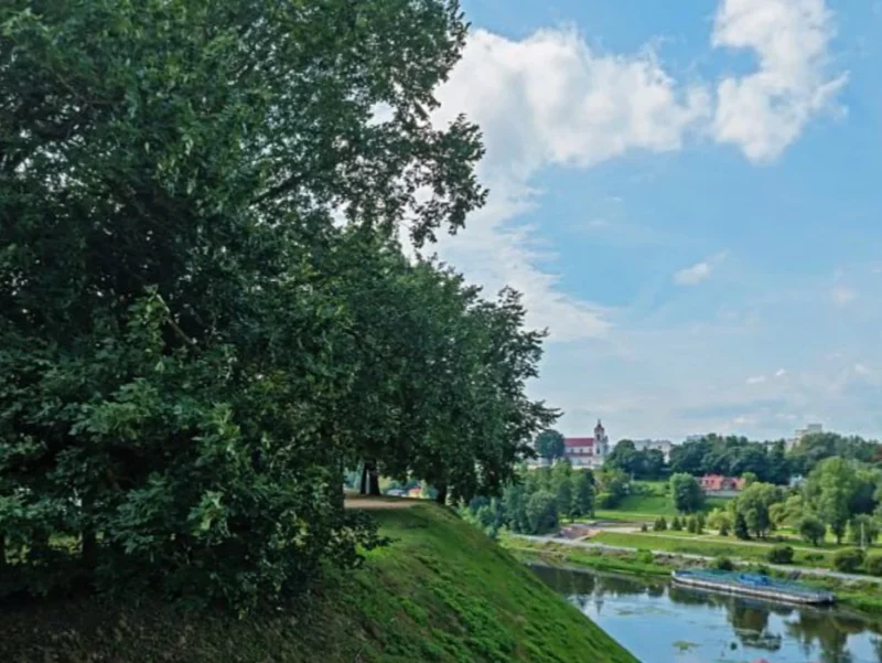 Возле Нового замка обустроят стихийную смотровую площадку: больше не нужно будет лазить через забор
