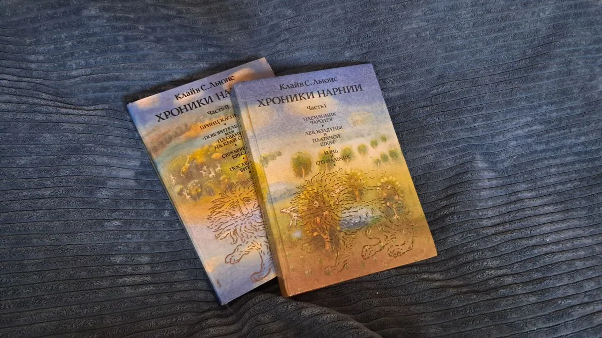 Бібліятэка чытачкі Дар'і.