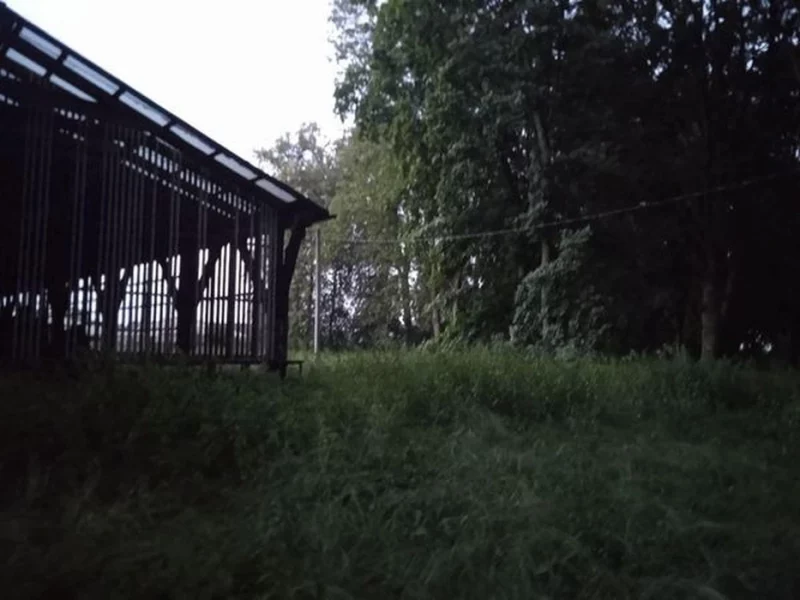 “Крепкая хозяйственная рука дотянулась до дела”. Как сейчас выглядит усадьба Подороск, которую забрали у владельца и передали отделу культуры?